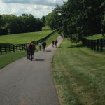 Kentucky Equine Research